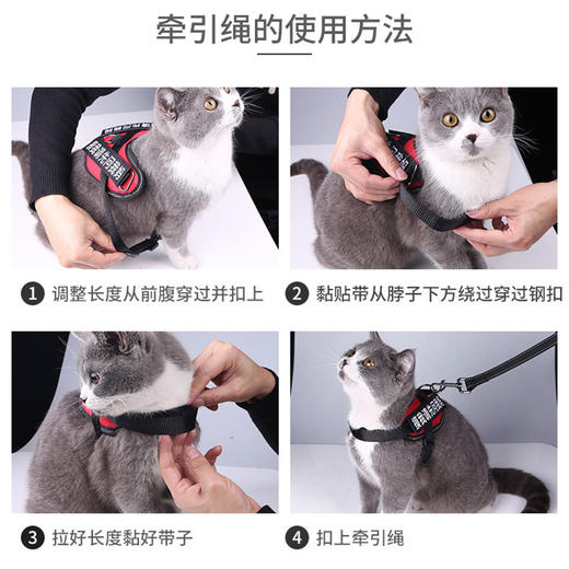 玲宠猫咪狗狗胸背带牵引绳遛狗绳遛猫胸背带中小型犬猫通用宠物用品 商品图4
