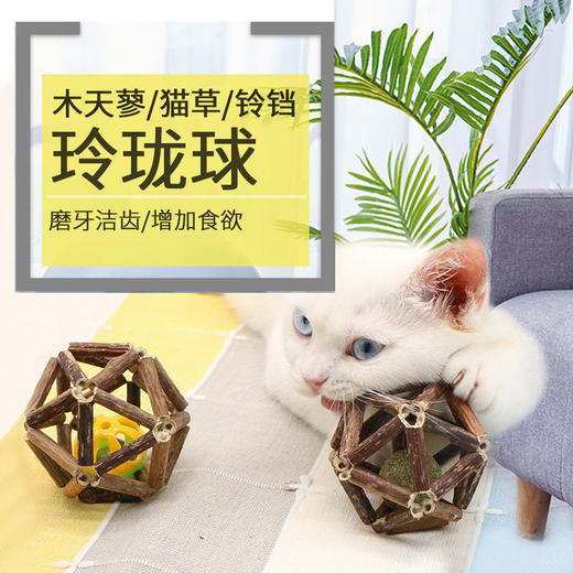 厂家直销新款猫猫玩具玲珑球木天蓼铃铛球 磨牙洁齿棒猫薄荷球猫咪用品 铃铛球-小号 商品图0