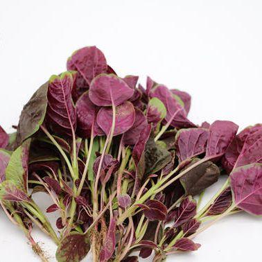 紫苋菜300g