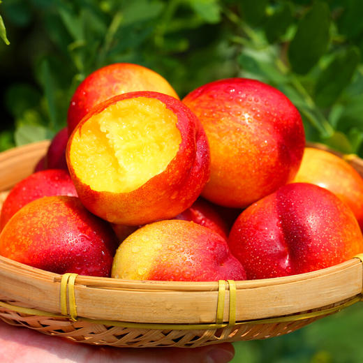 当季新鲜油桃 黄肉甜心 脆爽多汁 包邮包售后 商品图3