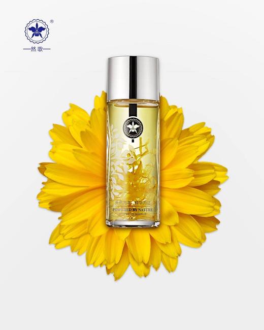 金盏菊 元萃水 商品图0