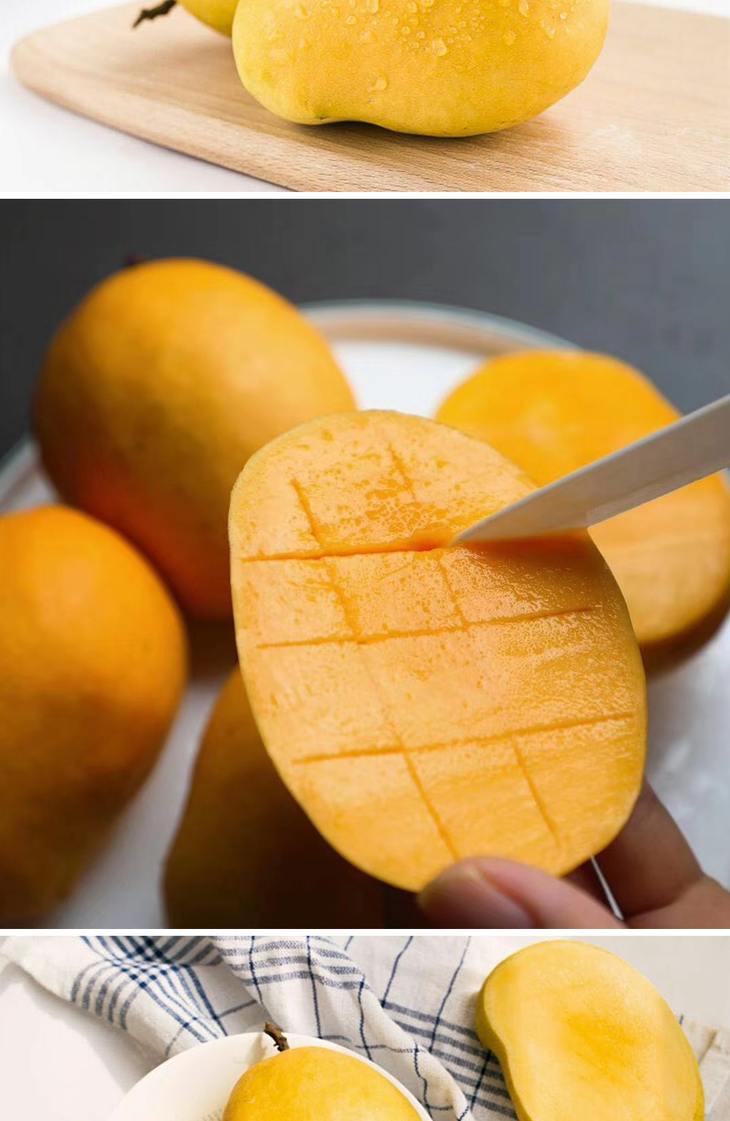 缅甸进口正宗圣德龙芒果缅甸小鸡芒香味十分浓郁纯甜多汁