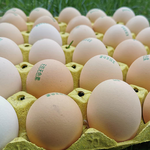 无抗鸡蛋礼盒装60枚 商品图1