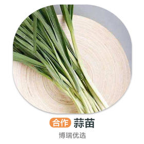 蒜苗