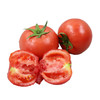 【云梦现摘】西红柿 （约750g±50g） 商品缩略图0