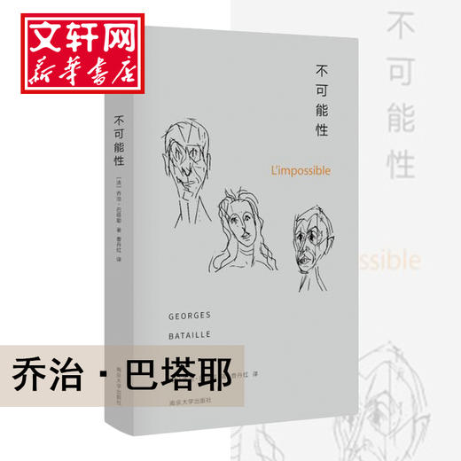 不可能性 商品图0