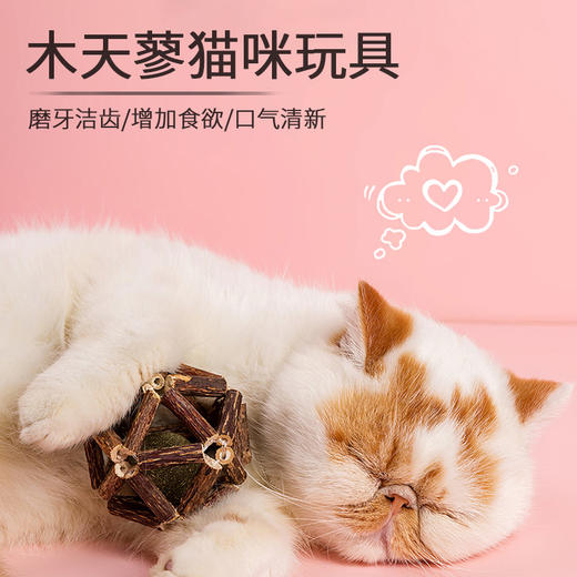 厂家直销新款猫猫玩具玲珑球木天蓼铃铛球 磨牙洁齿棒猫薄荷球猫咪用品 铃铛球-小号 商品图3