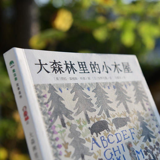 魔法象故事森林 大森林里的小木屋 3-6岁儿童绘本 国际安徒生奖得主安野光雅精心绘制300余幅插画 商品图1