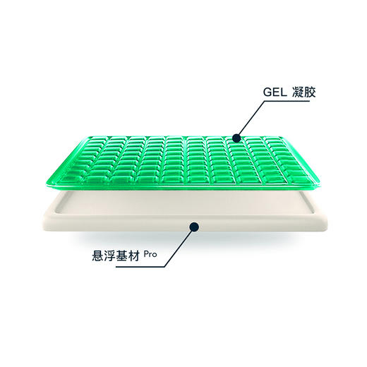 久坐不累的凝胶呼吸凉感坐垫 商品图4
