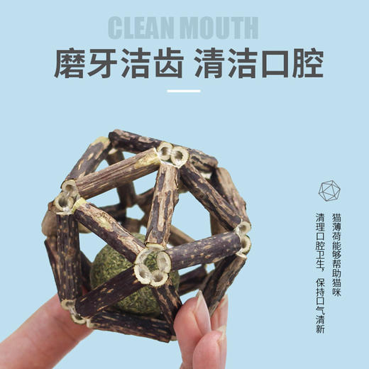 厂家直销新款猫猫玩具玲珑球木天蓼铃铛球 磨牙洁齿棒猫薄荷球猫咪用品 铃铛球-小号 商品图2