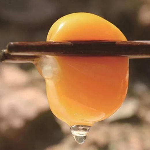 【散养土鸡蛋】农家散养，蛋香醇正，营养健康，回味无穷 商品图1