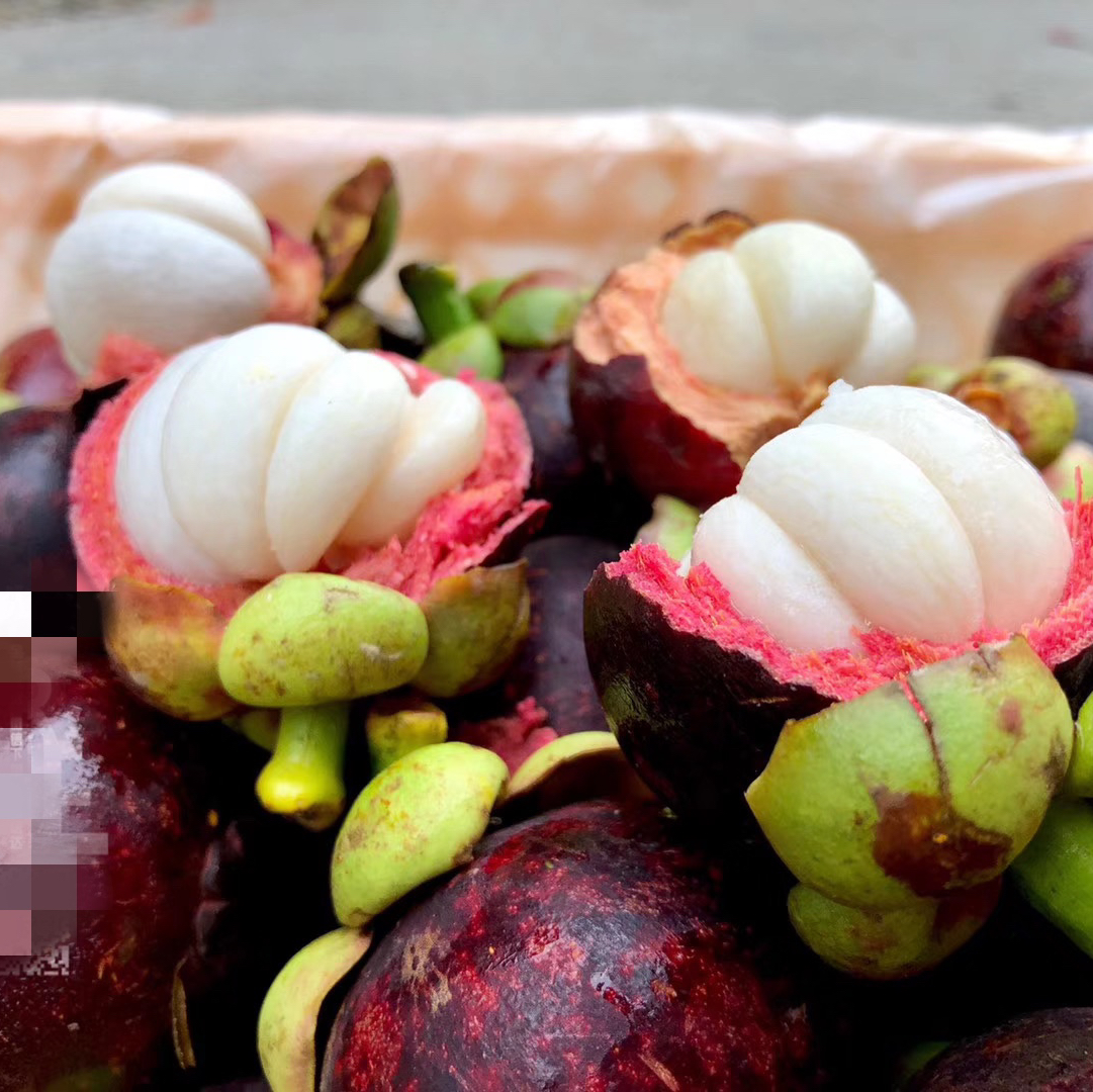 泰国空运山竹 4A大果