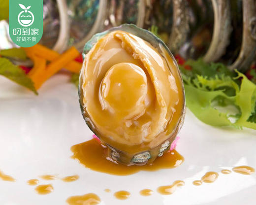 【叼鲜】东山鲜活鲍鱼/1盒（4-5个，共500g±30g） 商品图4