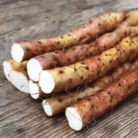 正宗河南温县垆土地铁棍山药，粉糯甘甜，药食同源