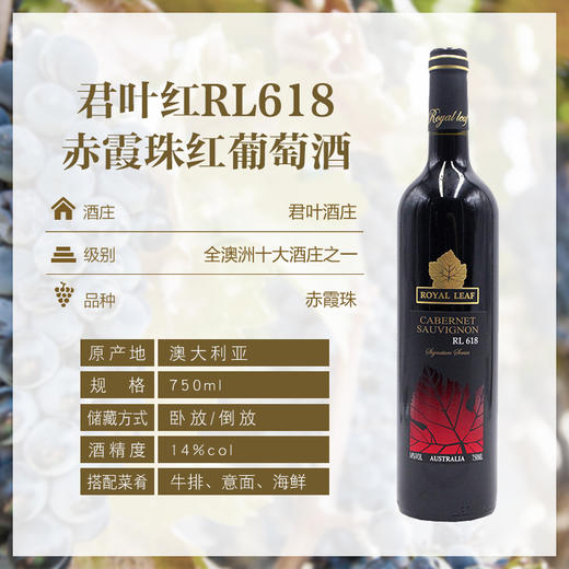 君叶红 赤霞珠 红葡萄酒 RL618  750ml 商品图0