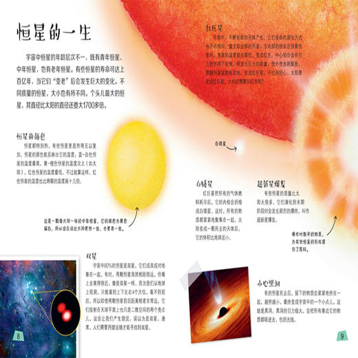 新书预售 DK儿童自然探秘百科博物大百科 6-12岁解读自然 商品图1