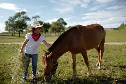 【丰宁坝上】早安雄库鲁营地，京郊网红野奢帐篷酒店，尽享草原的白昼交替 极致之美 【BW】 商品图1