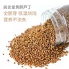 大凉山黑苦荞胚芽茶，可泡茶可煮饭也可直接吃 商品缩略图1