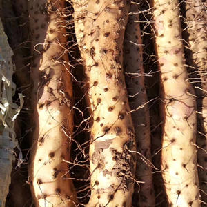 正宗河南温县垆土地铁棍山药，粉糯甘甜，药食同源 商品图2