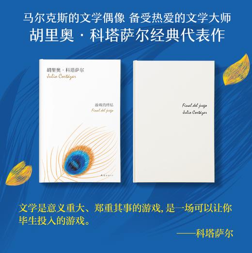 科塔萨尔：游戏的终结 商品图2