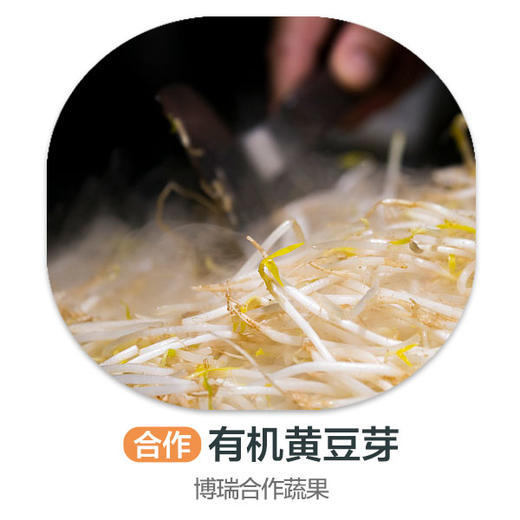赞字村有机黄豆芽 商品图0