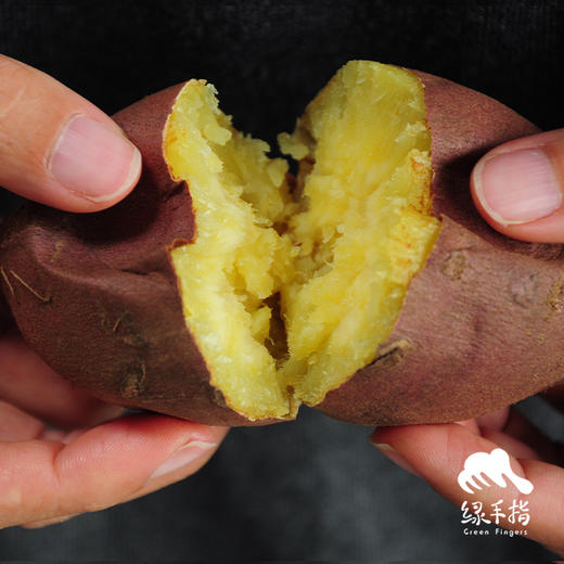有机海头地瓜 | 合作生产* Organic potato | Coproduction 商品图2