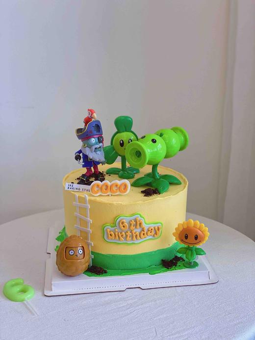 植物大战僵尸 商品图1