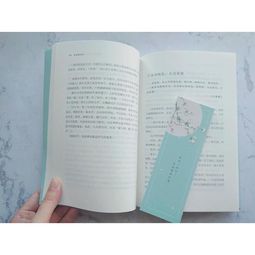 李清照词传 商品图1