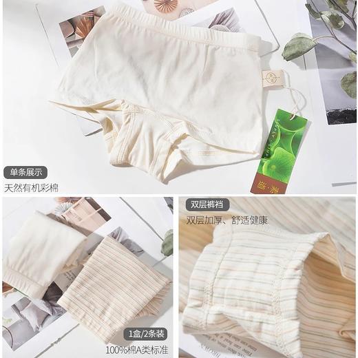 有机彩棉儿童内裤 男女童平角内裤 大小童宝宝三角裤 纯棉亲肤透气 素道敦煌天然有机彩棉基地 舒适安全健康 [漳州仓] 商品图3
