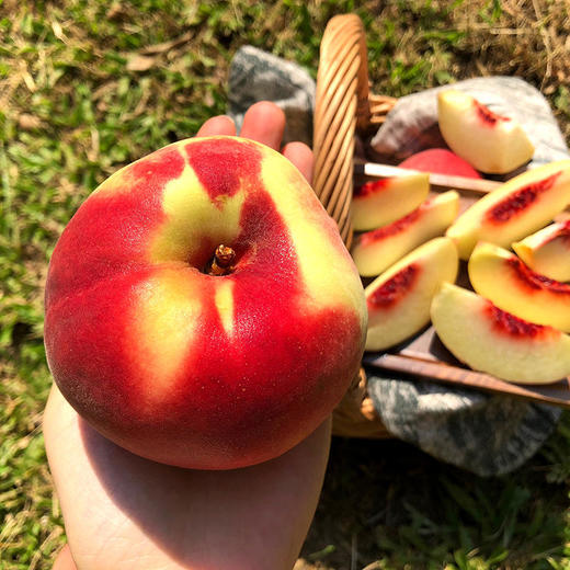 【高山甜蜜桃】金秋红蜜桃 桃味十足清甜醇蜜现摘现发舌尖上的美味