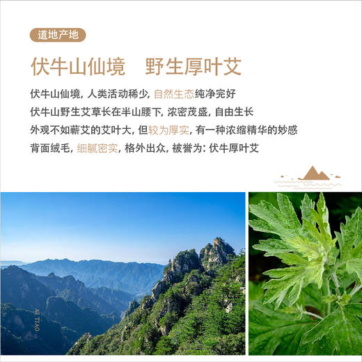 容德特制桑皮纸艾柱——40柱装 商品图2