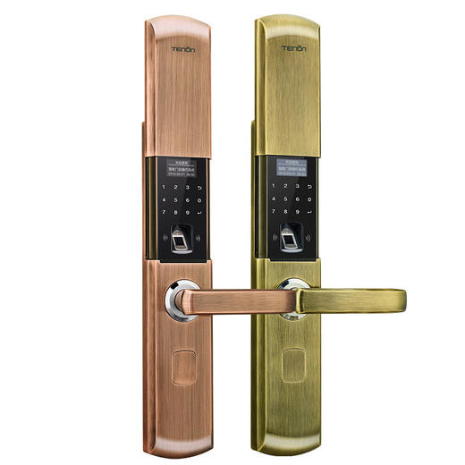 亚太天能tenont8e智能电子门密码锁指纹锁室内卧室防盗门木门房门铁