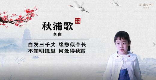 《唐诗三百首》之《秋浦歌》- 练伟佳 商品图0
