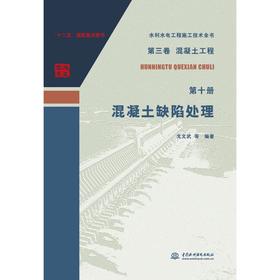 水利水电工程施工技术全书 第三卷 混凝土工程 第十册 混凝土缺陷处理