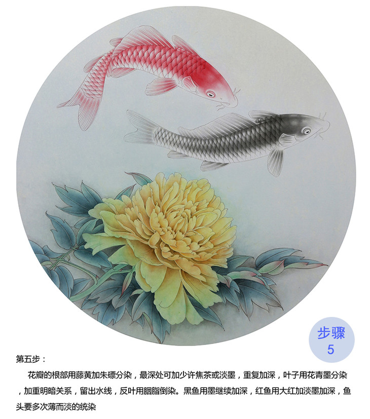 有步骤大彩图郑玲玲工笔花鸟画白描稿牡丹鲤鱼闲然自得小品zl26