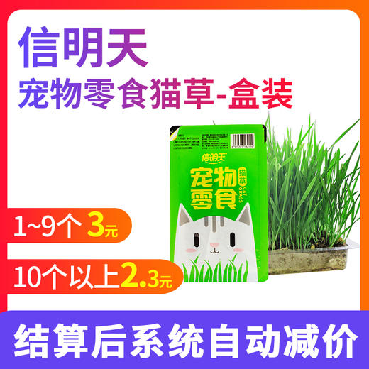 猫草盒装种植套装去毛球化毛猫草小麦种子猫咪零食猫咪盆栽 商品图5