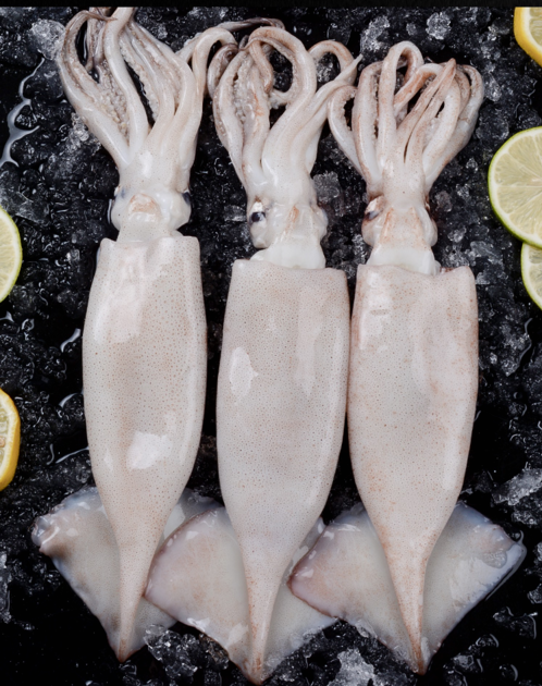 精品小鱿鱼500g袋重庆四川满150元包邮