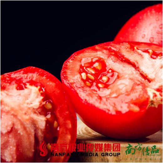【珠三角包邮】疆来红·沙瓤西红柿 净重5斤 /箱 （次日到货） 商品图0