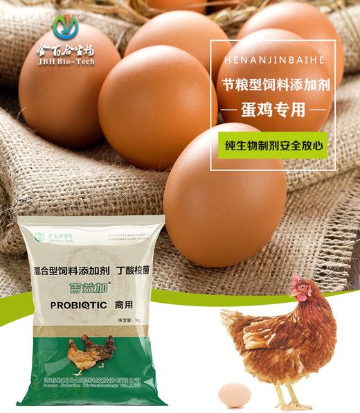 吉益加 商品图0