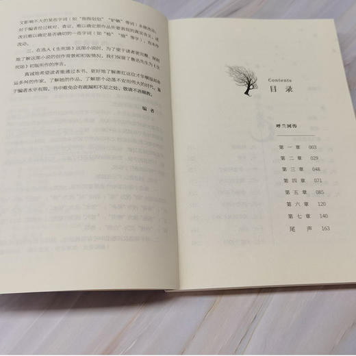 呼兰河传 商品图3