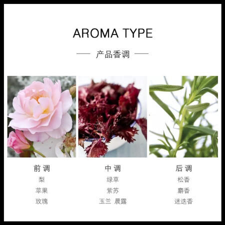 爱马仕屋顶花园香水50ml 商品图3