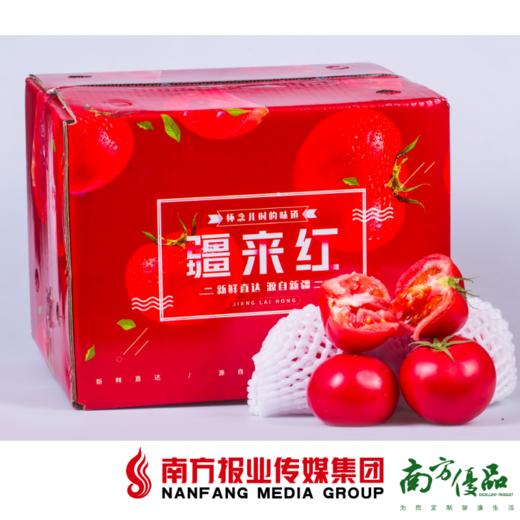 【珠三角包邮】疆来红·沙瓤西红柿 净重5斤 /箱 （次日到货） 商品图3