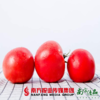 【珠三角包邮】疆来红·沙瓤西红柿 净重5斤 /箱 （次日到货） 商品缩略图2