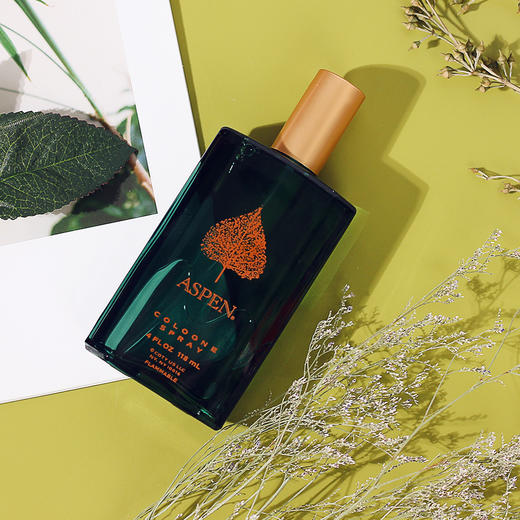 科蒂 阿斯宾男士 EDC Coty Aspen For Men 分装 商品图0