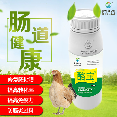 酪宝-肠道健康卫士