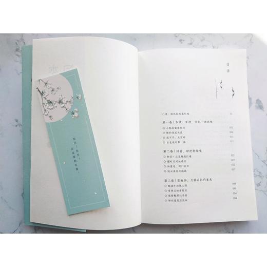 李清照词传 商品图2