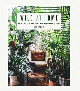 Wild at Home，野生家居:如何设计和照顾美丽的植物 花艺景观