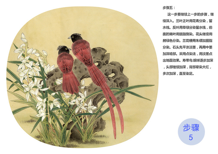 有步骤大彩图郑玲玲工笔花鸟画白描底稿兰芳石坚小品zl14