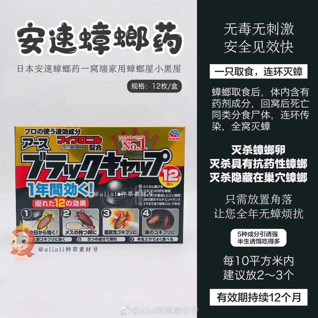 蟑螂屋！蟑螂一扫光！