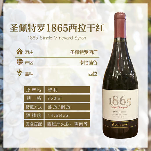 智利原装进口红酒 圣佩特罗1865西拉干红葡萄酒750ml/瓶 商品图0